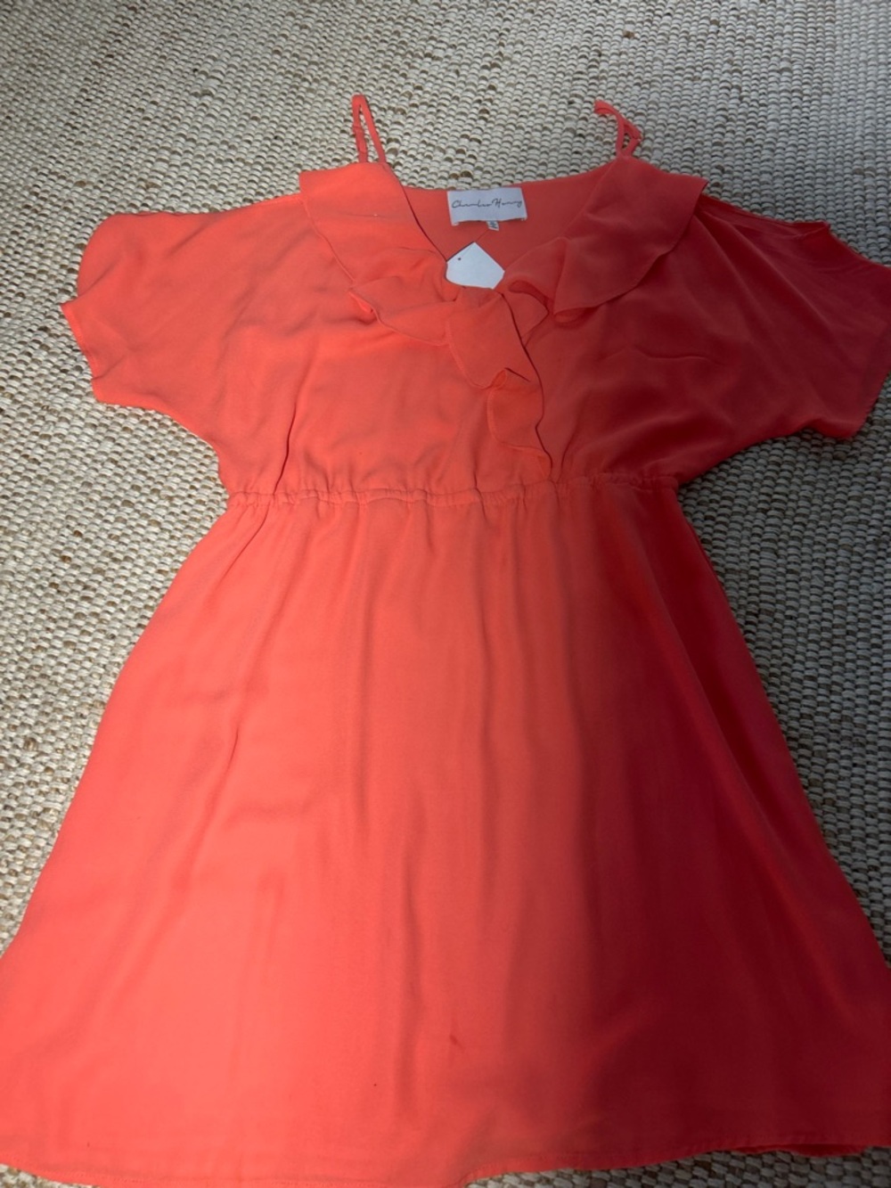 Coral Ruffle V-Neck Mini Dress - Picture 11 of 11